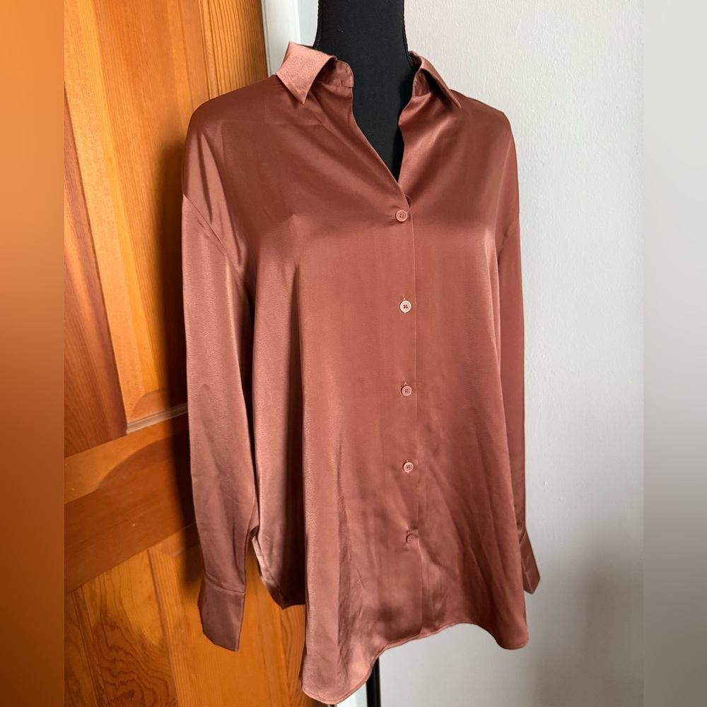 Uniqlo Rust Bronze Silky Button Down Top - Picture 4 of 13